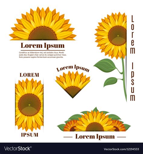 Sunflower Banners And Yellow Sun Flower Royalty Free Vector