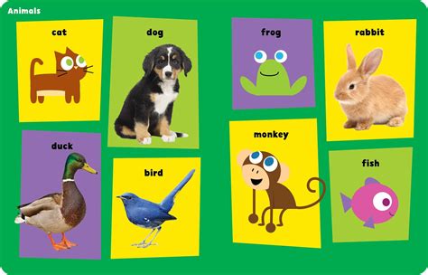 Opposites words by picture for kids. PBS KIDS 100 Words for Babies | Book by The Early ...