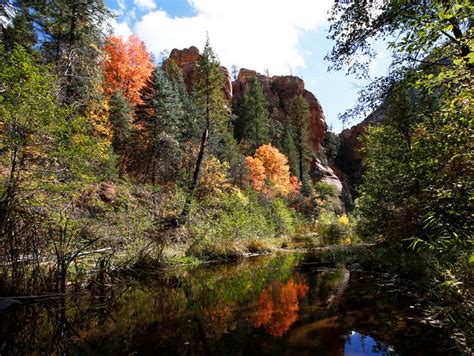 Explore My Arizona Fall Colors On Flagstaffs Inner Basin Trail