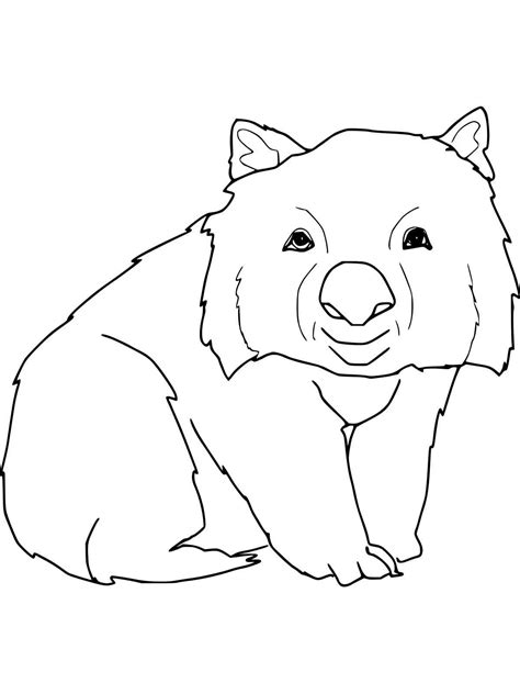 Wombat Coloring Pages