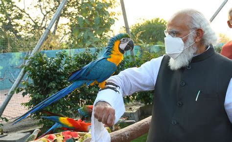 Cza opens kevadia zoological park on trial basis. Sardar Patel Zoological Park in Gujarat | Jungle Safari ...