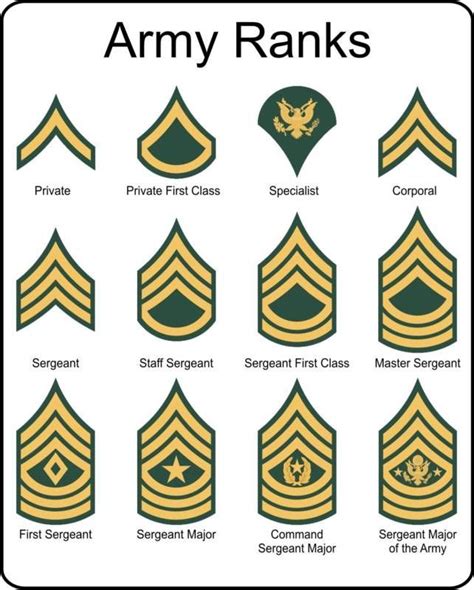 √ Army Officer Rank Timeline Spartan Tree