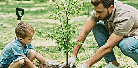 Comment Savoir Quel Arbre Fruitier Planter Dans Son Jardin