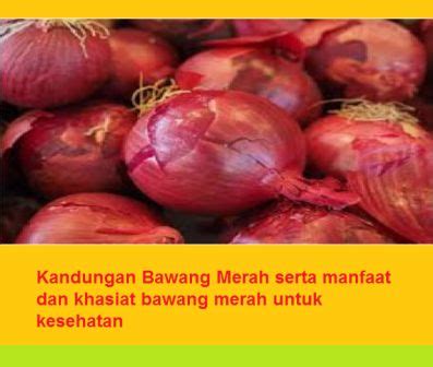 Kandungan Bawang Merah serta manfaat dan khasiat bawang merah untuk