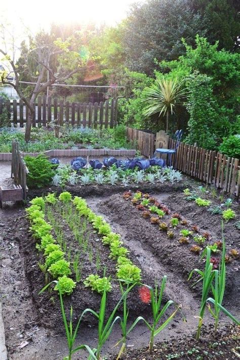 56 Vegetable Garden Design Ideas For Beginner Vegetablegarden
