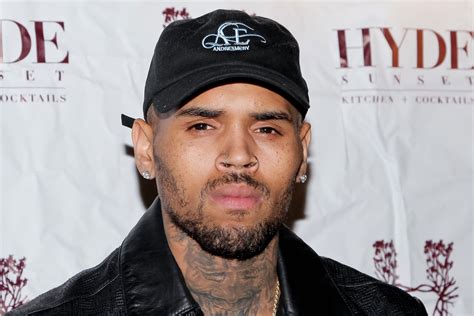 Chris Brown Barred From Buying Monkeys Must Pay K Fine Judge Rules
