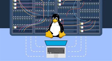 What Is Linux And Which Versions Are Best For Beginners
