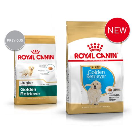 Golden Retriever Puppy Royal Canin Professionals