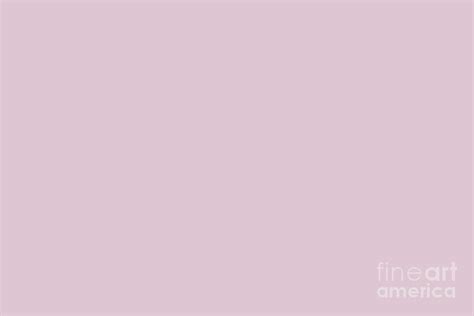Light Muted Fuchsia Purple Pink Solid Color Ppg Tinted Rosewood Ppg1044