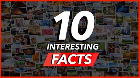 10 Interesting Things You Probably Didnt Know Youtube