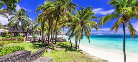 Tropical Paradise Beach With White Sand And Palm Trees Belle Mare