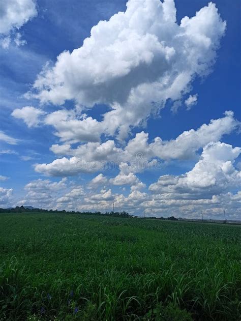 Cloudy Skies Over Green Meadow Stock Image Image Of Horizon Cloudy
