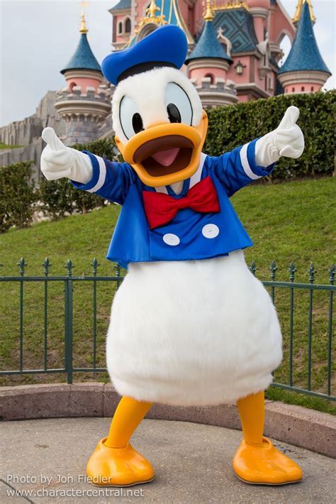 Donald Duck At Disney Character Central Disney Friends Cute Disney