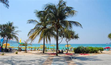 View Of Patong Beach With Palm Trees In Phuket Thailand Editorial