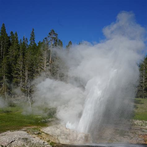 Riverside Geyser Yellowstone National Park What To Know Before You Go
