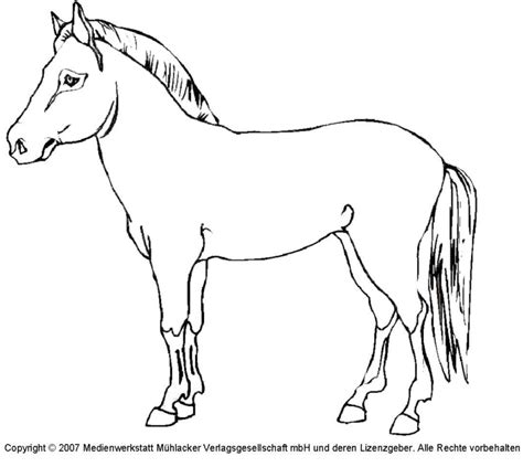 Pferde vorlagen für kinder zum kostenlosen download. Pferd 1 - Medienwerkstatt-Wissen © 2006-2017 Medienwerkstatt