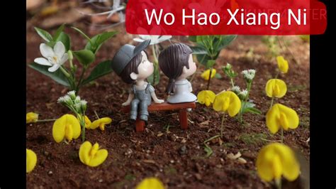 Lagu Mandarin Sedih Wo Hao Xiang Ni Cover Video Youtube