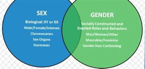 What Are The Similarities Between Sex And Gender Venn Diagram And
