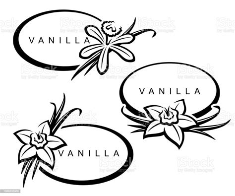 Vanilla Labels And Elements Set Collection Icon Vanilla Vector Stock Illustration Download