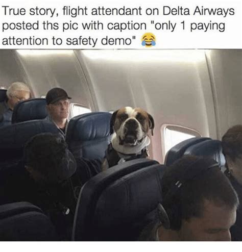 True Story Flight Attendant On Delta Airways Posted Ths Pic With