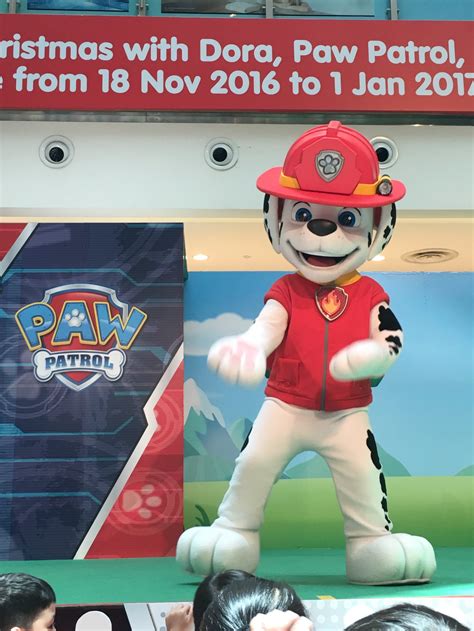 Meet Paw Patrol At City Square Mall This September School Holidays A