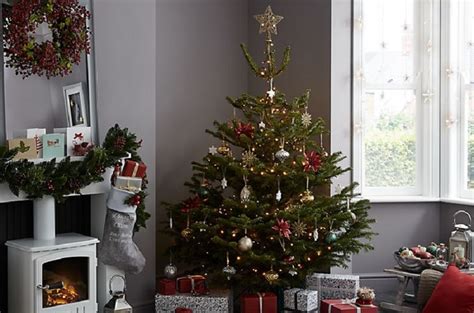 Semua sumber pohon natal ini untuk diunduh. 5 Tips Jaga Pohon Natal Tetap Hidup dan Segar untuk Perayaan Tahun Baru : Okezone Lifestyle