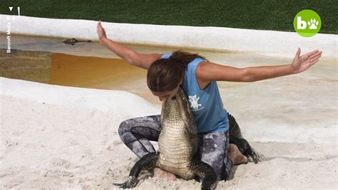 Watch Alligator Wrestler Has Become An Instagram Star Metro Video
