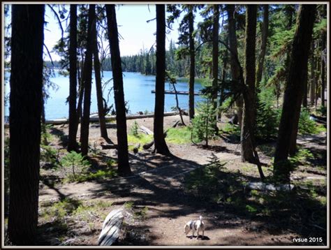 Miller Lake Oregon Camping Camping Sdw