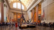 Musée américain d'histoire naturelle, NY, USA : locations de vacances ...