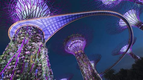 Gardens By The Bay At Night Singapore Windows Spotlight Images