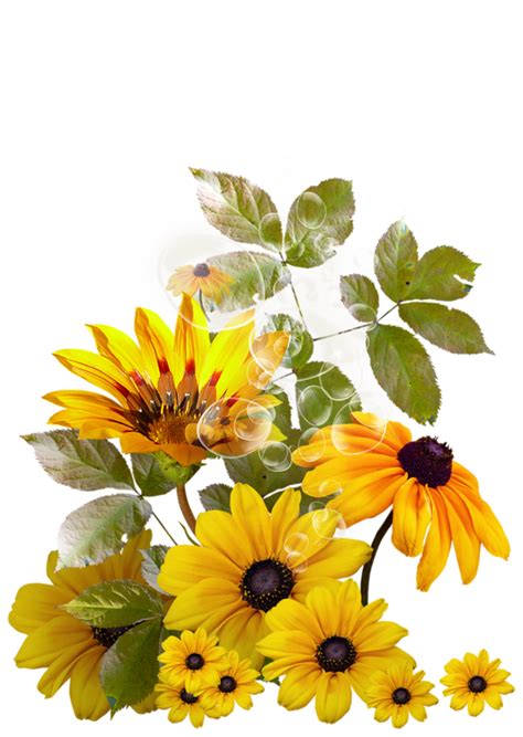 Gardening clipart tall sunflower, Gardening tall sunflower Transparent FREE for download on ...