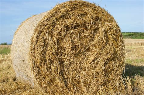 How To Make A Hay Bale Blind — The Hunting Page