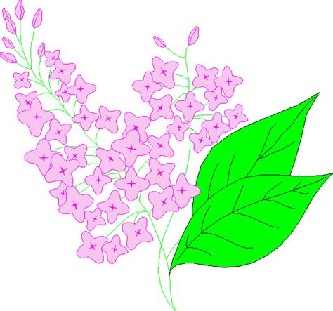 Lilacs Clip Art The Lilac Clipart Clipground Forrich Lombardi