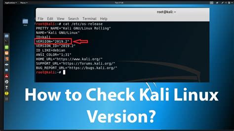 Download the latest version of kali linux for android. How to Check Kali Linux Version? - YouTube