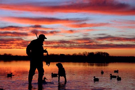 Duck Hunter Heard Vocalizations From Three Individuals Hunting