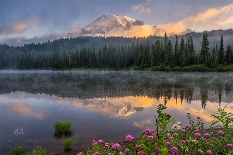 Sunrise At The Reflection Lake Mt Rainier Washington By Lydia
