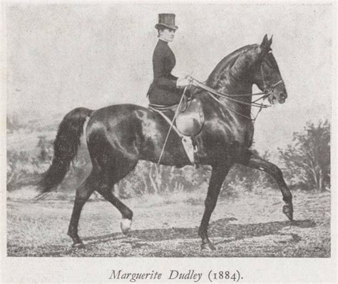 Ecuyères De Cirque Et Amazone Marguerite Dudley Equitation Monte En