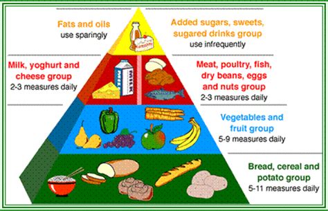 Maybe you would like to learn more about one of these? The Six Food Groups