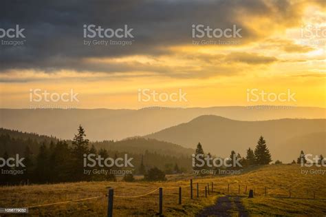 Germany Hike Trail Over Beautiful Black Forest Nature Landscape In The