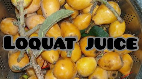 Loquat Juice Recipe Fresh Home Made Juice Kitchen Cuisine Youtube