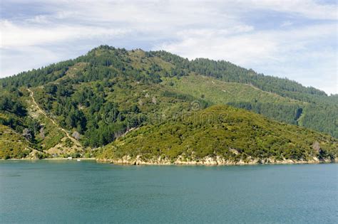 Queen Charlotte Sound Stock Photo Image Of Natural Ocean 77030168
