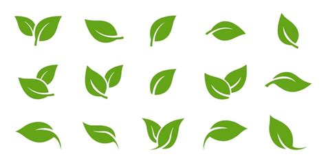 Vectors Of Leaves Free Vector Graphics Everypixel