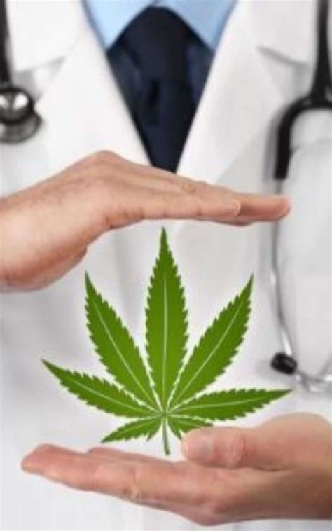 Get your florida medical marijuana and weed card online. Medical Marijuana Cards in FL (Updated for 2020) - How to Get - CalmEffect.com