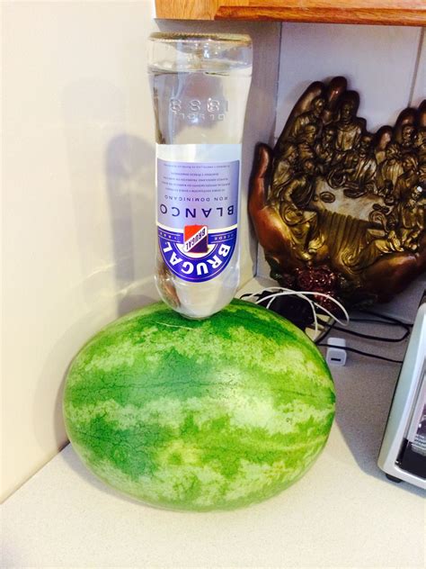 Working in two batches, place half the watermelon flesh into the blender. Dominican rum infused watermelon | Watermelon, Dominican ...