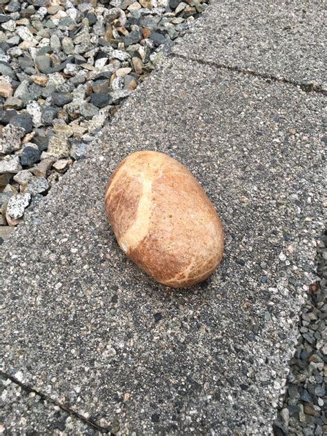 This Rock Looks Like Either A Potato Or A Nicely Baked Bread R