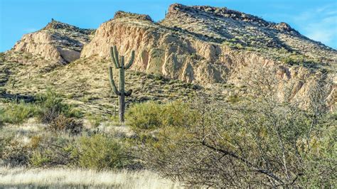 Offseason Arizona 8 Reasons To Visit Scottsdale In The Winter