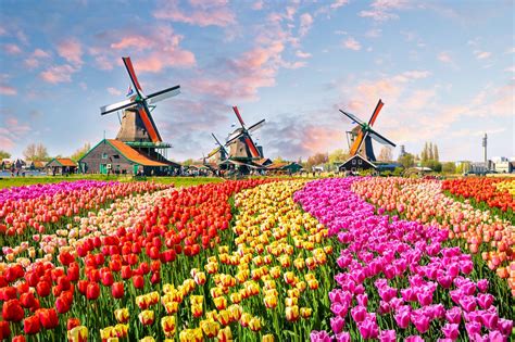 8 Best Places To Visit In The Netherlands Winetraveler
