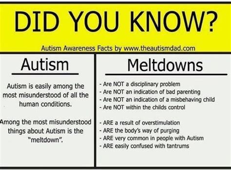 Pin By Arial Lynn On Autism Autism Facts Understanding Autism