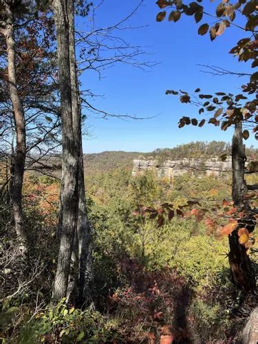 10 Best Kid Friendly Trails In Red River Gorge Geological Area Alltrails