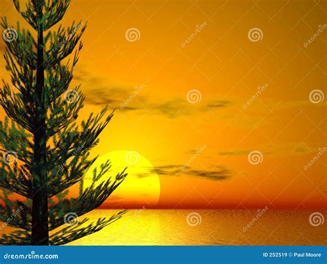 Pine Sunset Stock Illustration Illustration Of Orange 252519